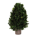 Natural Boxwood Foliage Topiary Faux Plant Decor – 15.75" by Melrose