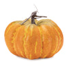Harvest Pumpkin Décor Set –