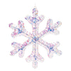 LED Iridescent Snowflake Duo
