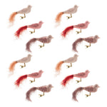 Beaded Glass Bird Clip Ornament Set, Painted Glass, 6"L Holiday Accent by Melrose
