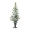 Potted Mini Pine Tree – Indoor Holiday Decor