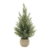Mini Potted Pine Trees Set of 2 with Wicker Planters