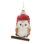 Glittered Glass Owl Ornament (Set of 12) - 5"H White Red Brown Christmas Tree Decor by Melrose