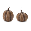 Rustic Resin Pumpkins Set of 2 for Fall Decor