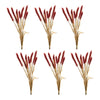 Fall Seasonal Foxtail Bundle Plastic 23" H by Melrose