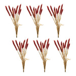 Fall Foxtail Bundle Plastic Red 23" H Set of 6 Indoor Decor by Melrose