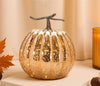 LED Illuminated Pumpkin Decor Set of 2 for Fall & Thanksgiving