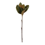 Magnolia Leaf Spray Set of 6 Polyester Green Brown Stems 23.5" H Indoor Holiday Decor by Melrose