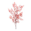Red leaf branch on a white background
