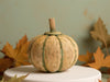 Neutral Wood Pumpkin Set of 2