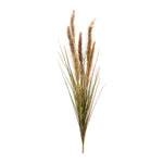 Foxtail Grass Bushes 41"H Natural Reed Plastic Beige Brown Traditional Fall Decor Set of 6 By Melrose
