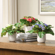 Trilogy Primrose Accents Potted in Dimpled White Ceramic Set of 3