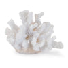 White Coral Decor Set of 4 – Coastal Tabletop Accents