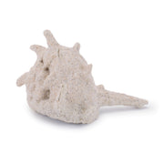 Beach House Shell Decor – Set of 12 Resin Shells
