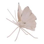 White butterfly with black spots on a white background