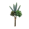 Faux Succulent Bundle Set of 6
