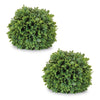 Faux Boxwood Orb Set of 2