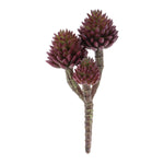 Succulent Plant Pick Set – 7.5"H Burgundy Faux Stems for Indoor Decor by Melrose