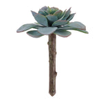 Succulent Pick Collection (Set of 12) – 5"H Green Faux Botanical Accents Indoor Decor by Melrose
