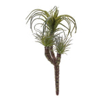 Air Plant Pick Collection (Set of 6) – 8.25"H Green Faux Botanical Accents Indoor Decor by Melrose