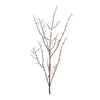 Birch Twig Decorative Branches for Farmhouse Styling