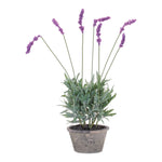 Potted Lavender Plants 20"H, Purple Green Polyester Faux Floral in Cement Pots (Set of 4) By Melrose