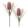 Set of 2 Protea Floral Stems – Red and Green