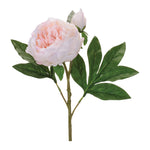 Lifelike Peony Spray – 24