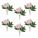 Blush Pink & White Peony Spray – 24"H Set of 6 Faux Fabric Flowers for Vases by Melrose