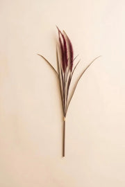 A single decorative dried grass stem with long narrow leaves and feathery burgundy-purple seed heads, centered on a plain warm beige background.