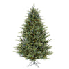 6.5' Itasca Fraser Artificial Christmas Tree Dura-Lit® Multi-Colored LED Lights