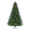 9.5' Itasca Fraser Artificial Christmas Tree with Warm White LED Dura-lit Lights