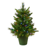 Vickerman A118226LED 24" Cashmere Pine Artificial Christmas Tree Multi-Colored Dura-Lit Led Lights