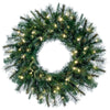Vickerman A118325LED 24" Cashmere Artificial Christmas Wreath With Warm White Dura-Lit Led Lights
