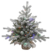 Vickerman A156622LED 24" Frosted Sable Pine Artificial Christmas Tree Multi-Colored Dura-Lit Led Lights