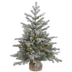 Vickerman A156631 36" Frosted Sable Pine Artificial Christmas Tree Clear Dura-Lit Lights