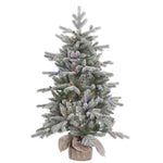 Vickerman A156642LED 48" Frosted Sable Pine Artificial Christmas Tree Multi-Colored Dura-Lit Led Lights