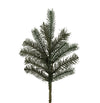 Vickerman A164303 18" Colorado Spruce Artificial Christmas Spray. Includes 12 Sprays Per Pack.