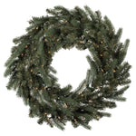 Vickerman A164337 36" Colorado Spruce Artificial Christmas Wreath Clear Dura-lit Incandescent Lights