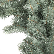 Vickerman A164872 72