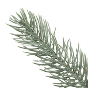 Vickerman A164872 72