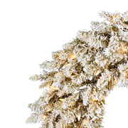 Vickerman A193525LED 24