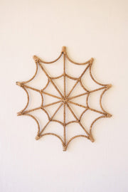 spider web