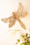 Seagrass dragonfly wall decor