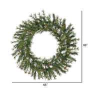 Vickerman A801848 48