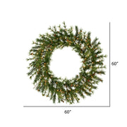 Vickerman A801861 60