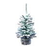 Vickerman A804312-3 12" Flocked Mini Pine Artificial Christmas Tree Set Of 3