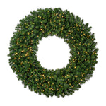 Vickerman A808860LED 60" Douglas Fir Artificial Christmas Wreath Warm White LED Lights