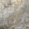 Close-up of a textured stone surface with varying shades of brown and gray.