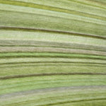 Wave Pattern Microfiber Throw Blanket 50" x 70" Cozy Couch Blanket by One Pixie Street